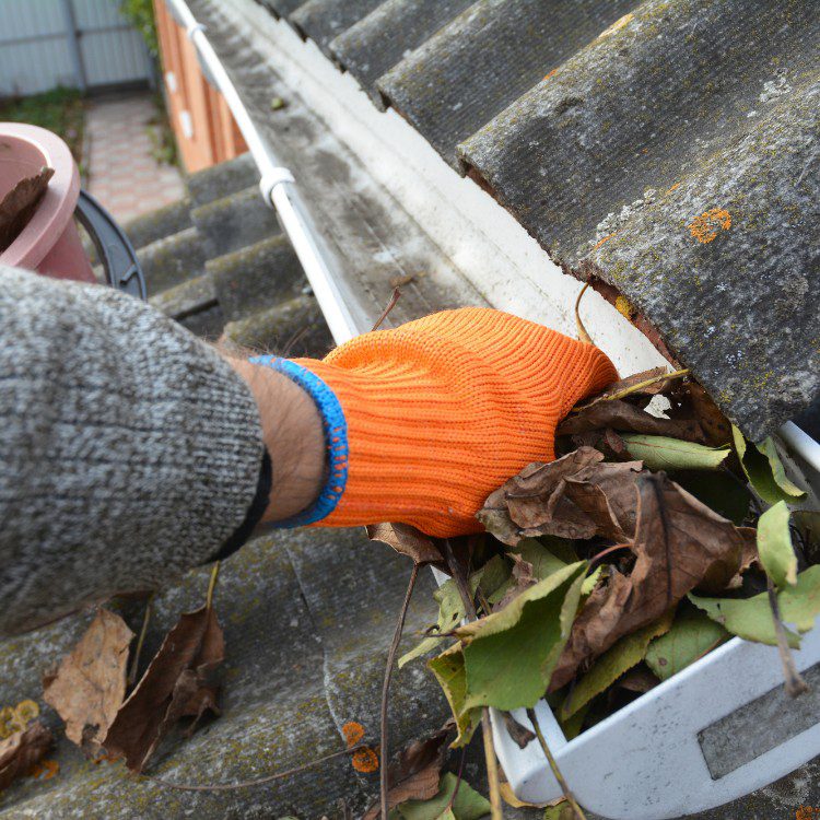 Pressure washing and cleaning services in Frisco, TX